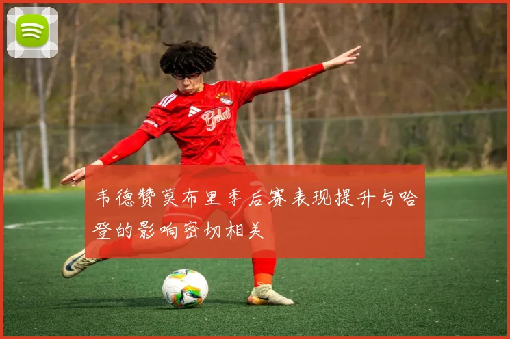 韦德赞莫布里季后赛表现提升与哈登的影响密切相关