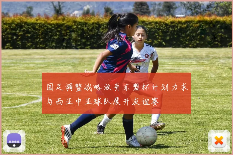国足调整战略放弃东盟杯计划力求与西亚中亚球队展开友谊赛